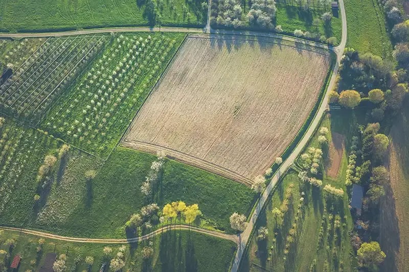 aerial-view-of-fields-1