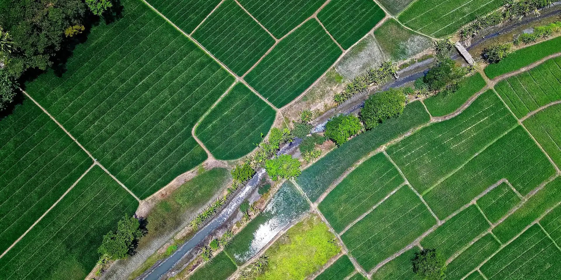 aerial-view-of-fields