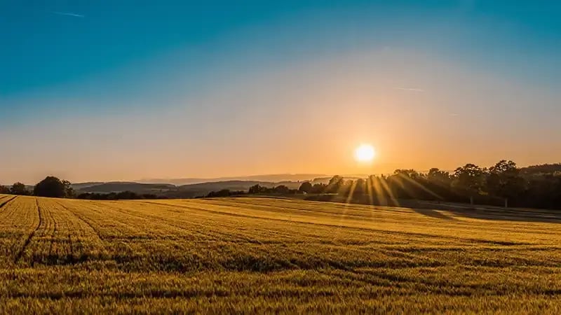 sunset-fields-body