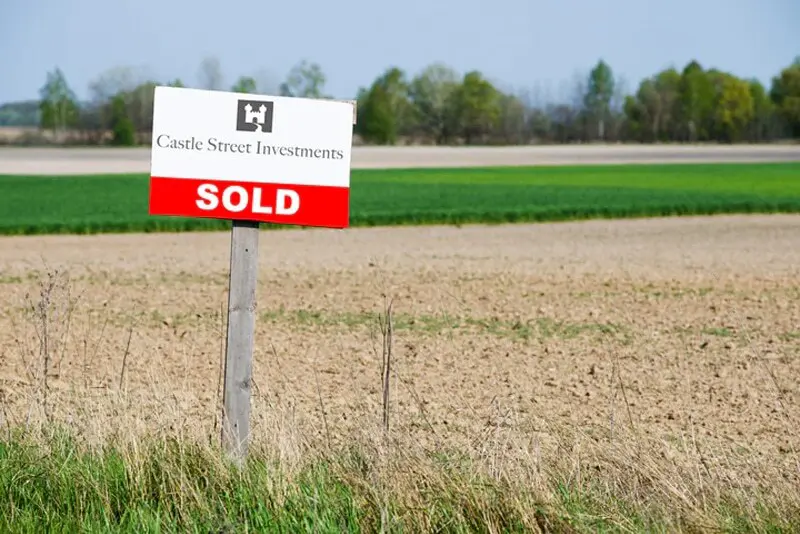 for-sale-sign-in-field